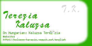 terezia kaluzsa business card